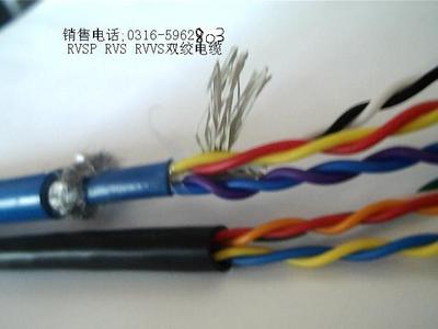 特種電纜專家 ZA-RVVPS電纜生產商的實力與產品優勢解析